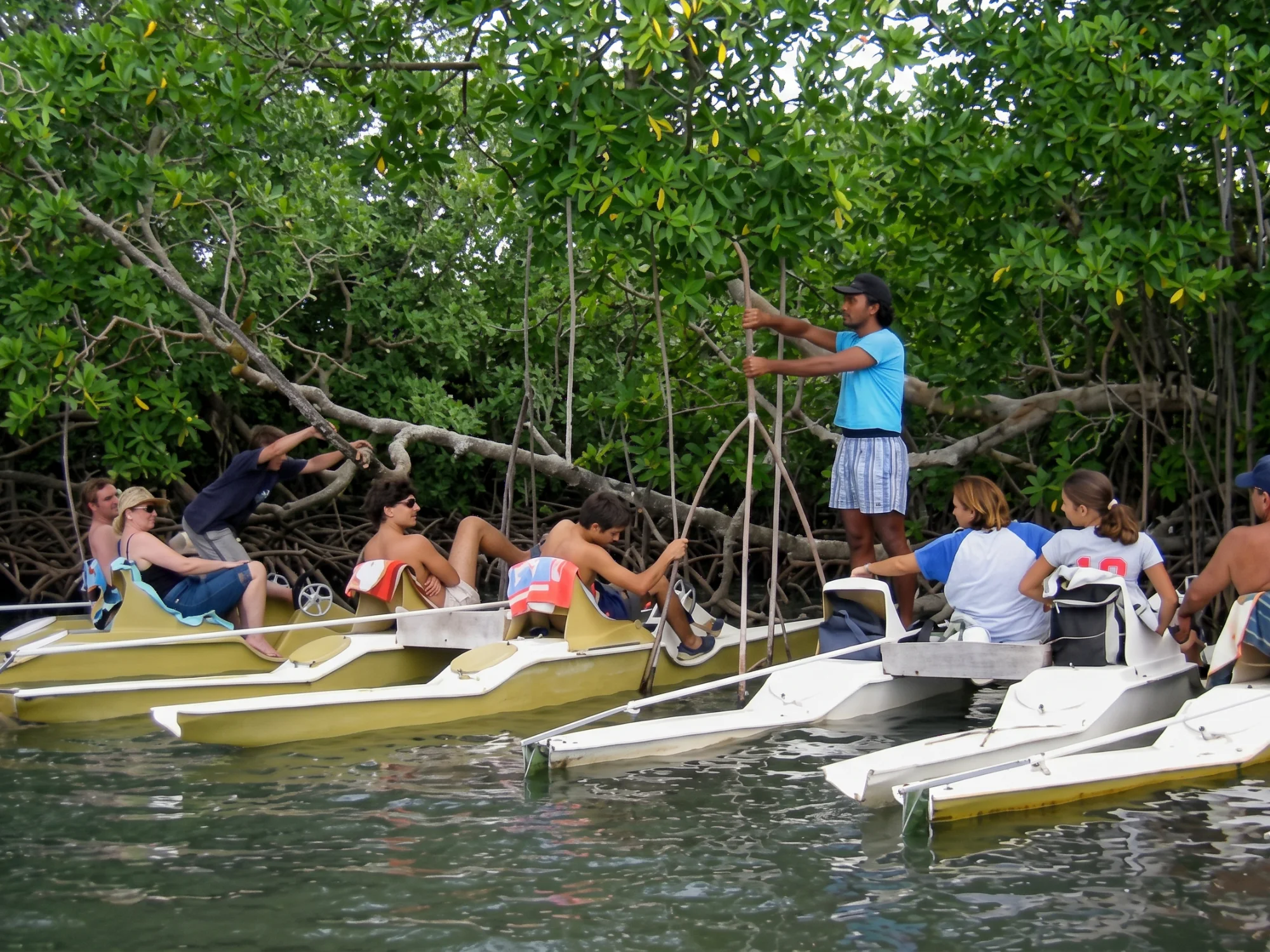 Flotille de VTT des mers lors des explications naturalistes dans la mangrove