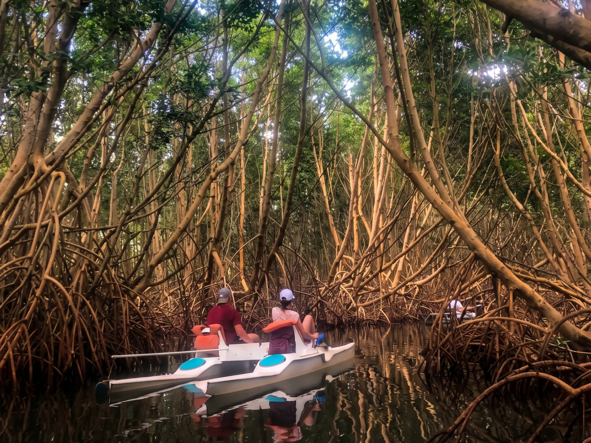 visite de la mangrove en vtt des mers